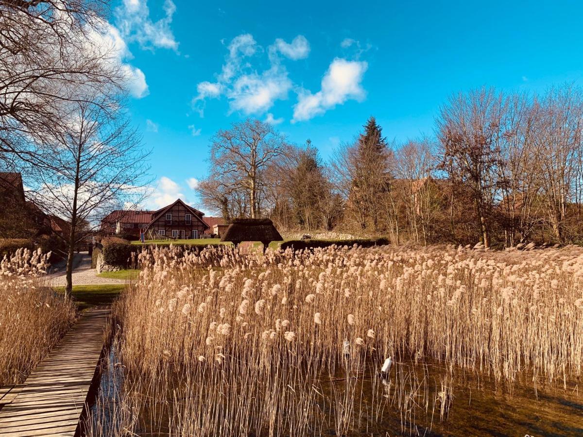 Fischhaus Am Schaalsee Zarrentin am Schaalsee Esterno foto